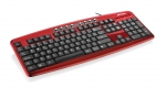 teclado141011-4